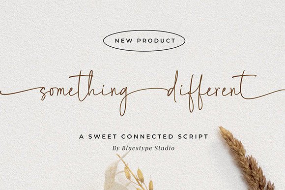 The Elegant Twist of Something Different: A Designer’s Review