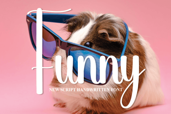 Why the Funny Font Adds Instant Warmth to Your Designs